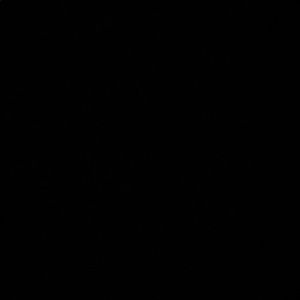 Meet your Posher, Carina